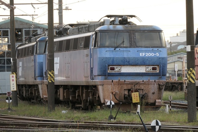 11.JPG