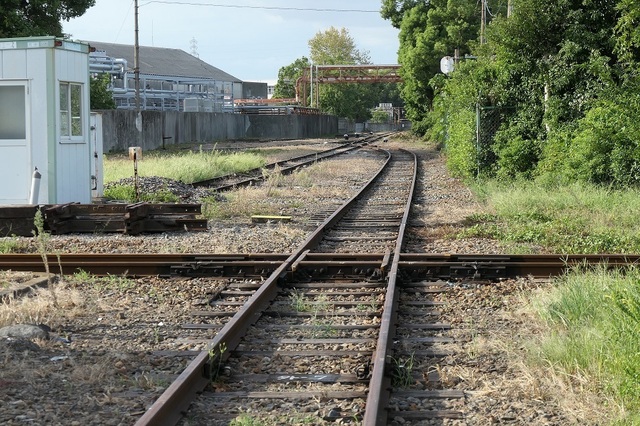 15.JPG