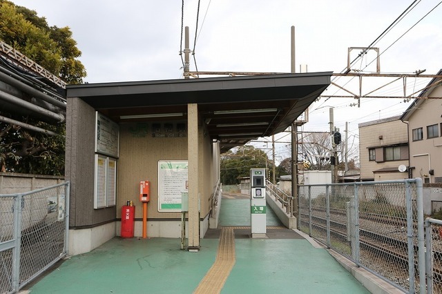 19.jpg