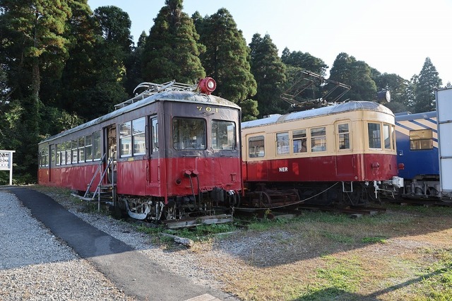 19.jpg