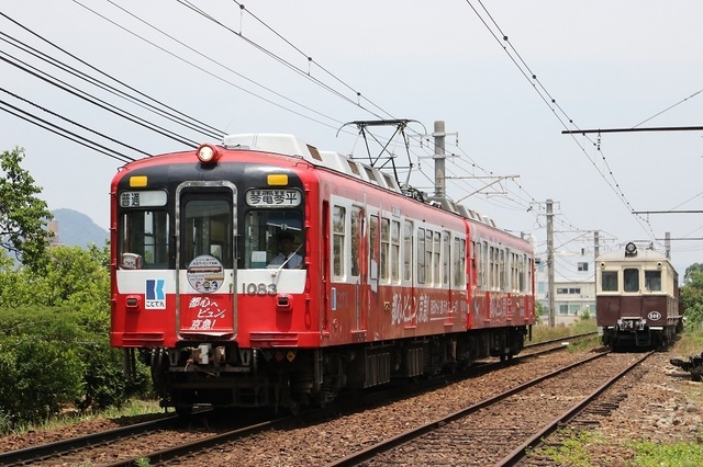 19.JPG