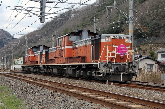 19.JPG