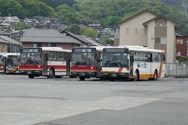 26.JPG