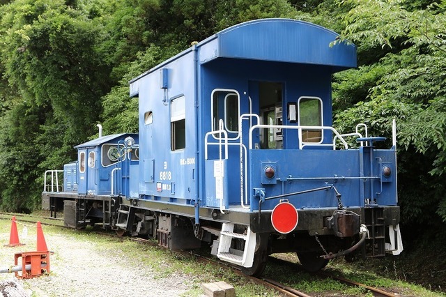26.jpg