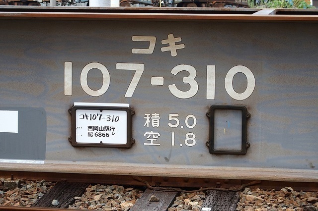 26.JPG