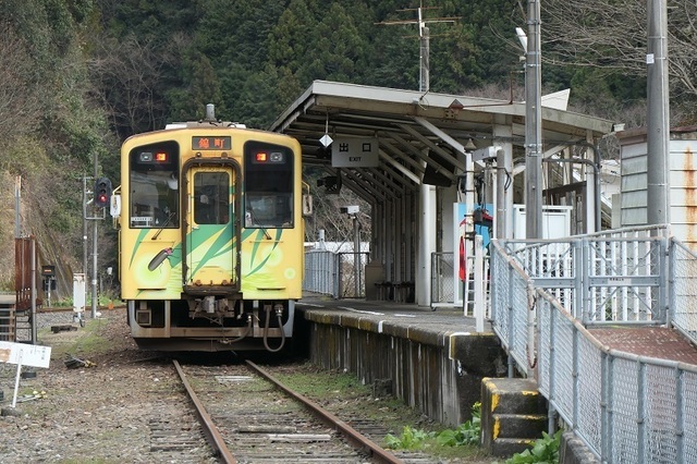 5.JPG